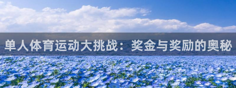 球客岛：单人体育运动大挑战：奖金与奖励的奥秘