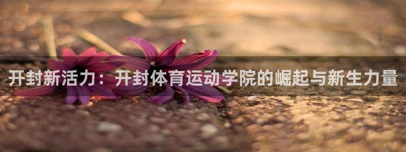 球客岛：开封新活力：开封体育运动学院的崛起与新生力量