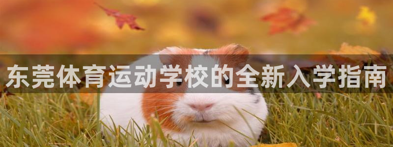 球客岛：东莞体育运动学校的全新入学指南