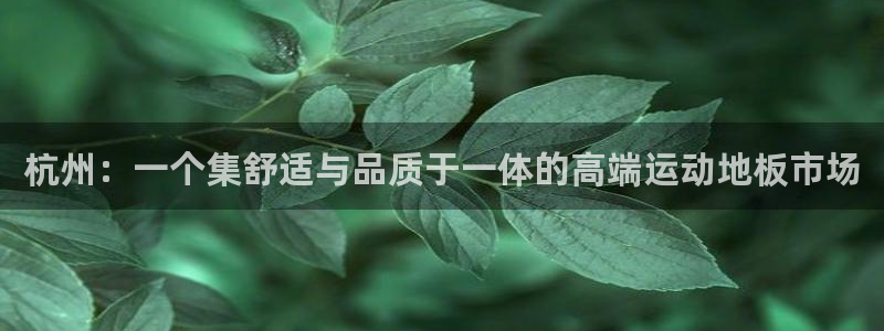 球客岛：杭州：一个集舒适与品质于一体的高端运动地板市场