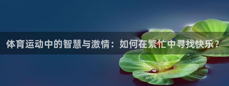 球客岛：体育运动中的智慧与激情：如何在繁忙中寻找快乐？