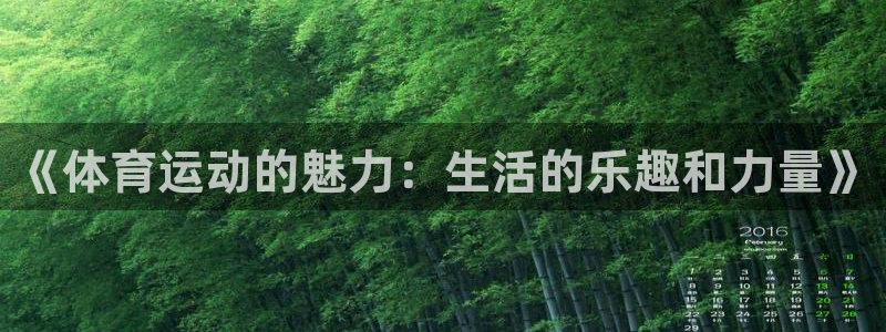 球客岛：《体育运动的魅力：生活的乐趣和力量》