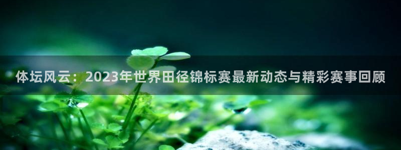 球客岛：体坛风云：2023年世界田径锦标赛最新动态与精彩赛事回顾
