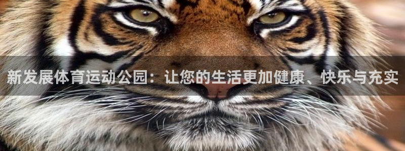 球客岛