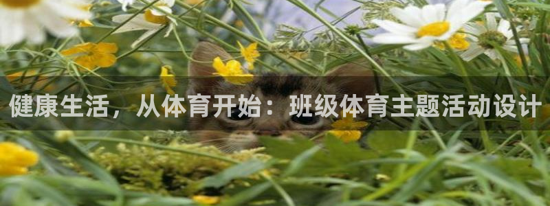 球客岛